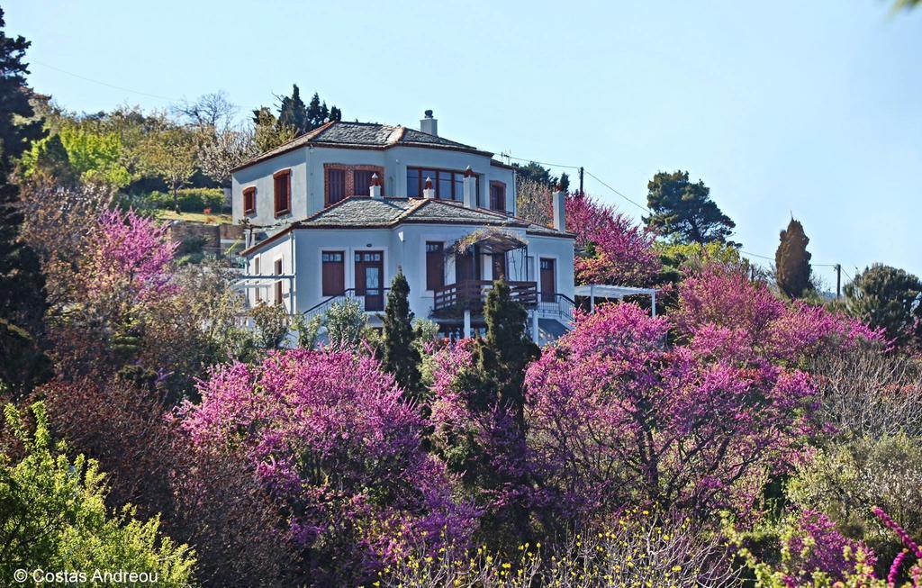 Stolios Apartment Skopelos Town Exterior photo